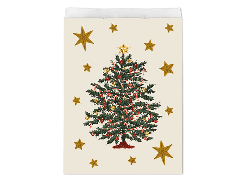 Paper Treat Bags Magic Xmas J228