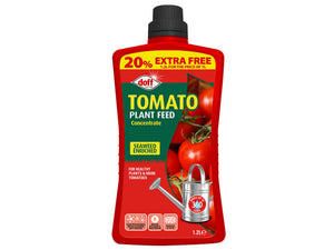 Tomato Food Concentrate