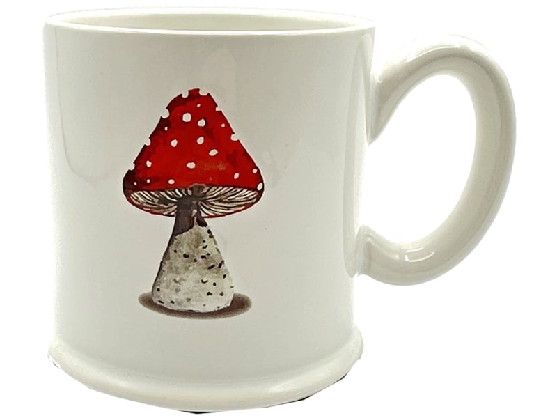 Tankard Mug Mushroom 71458