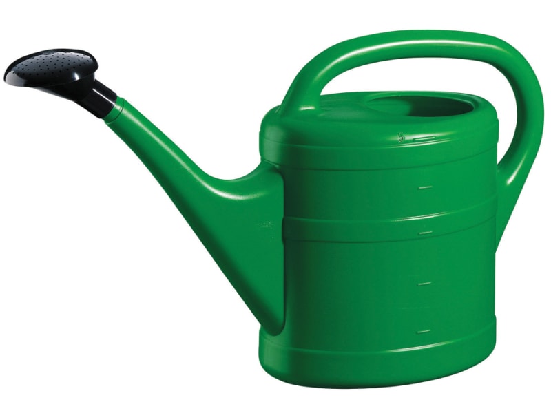 Essential Watering Can