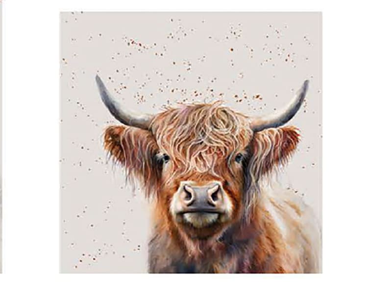 Coasters x 6 Highland Cow HH3694