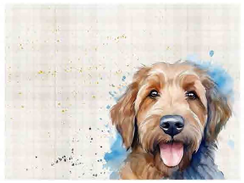 Placemats x 6 Labradoodle HH3909
