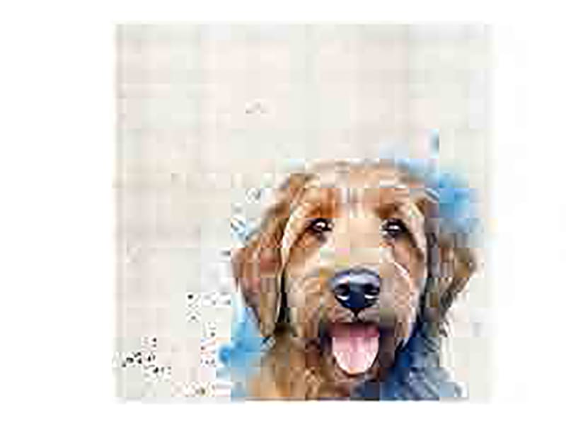 Coasters x 6 Labradoodle HH3914