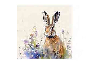 Coasters x 6 Meadow Hare HH4059
