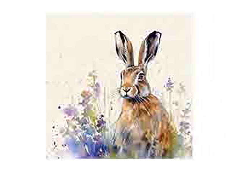 Coasters x 6 Meadow Hare HH4059