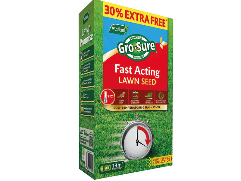 Fast Acting Lawn Seed