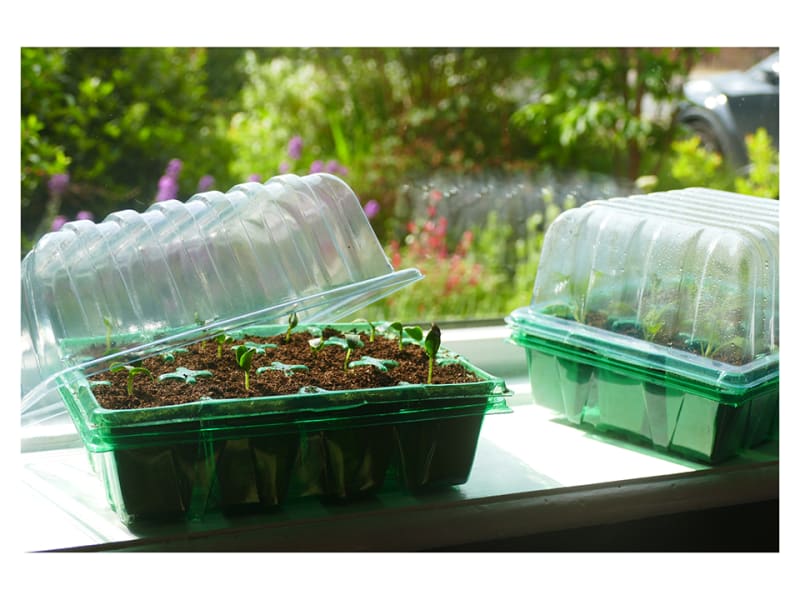 Gro-Sure Visiroot Propagator Twin Set
