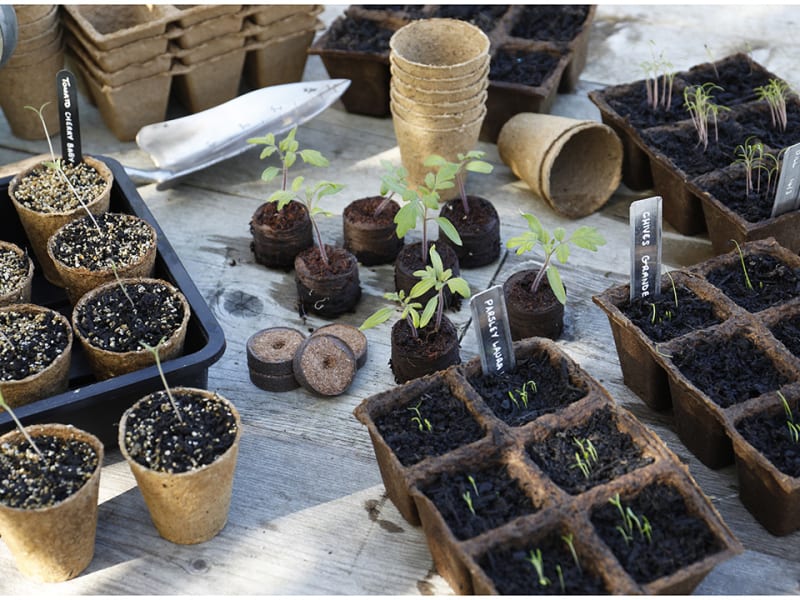 Gro-Sure Fibre Pots Round