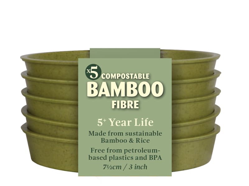 Bamboo Saucer x 5