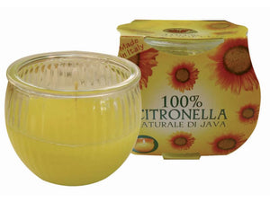 Citronella Jar In Cluster Pack SUN002418
